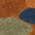 Orange color or pattern variation