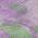 Lavender color or pattern variation