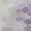Purple color or pattern variation