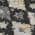 Black color or pattern variation