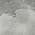 Gray color or pattern variation