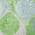 Lime color or pattern variation
