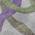 Lavender color or pattern variation