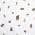 WHITE color or pattern variation