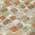 Cream color or pattern variation