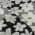 Black color or pattern variation