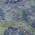 Green color or pattern variation