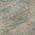 Coral color or pattern variation