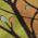 Gold color or pattern variation