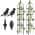 Blacks color or pattern variation
