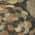 Brown color or pattern variation