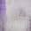 Lavender color or pattern variation