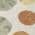 Cream color or pattern variation
