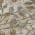Beige color or pattern variation