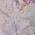 Purple color or pattern variation