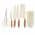 Beige color or pattern variation