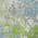 Green color or pattern variation