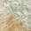 Cream color or pattern variation