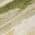 Olive color or pattern variation