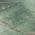 Green color or pattern variation