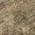 Brown color or pattern variation