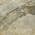 Gray color or pattern variation