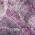 Purple color or pattern variation