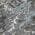 Gray color or pattern variation