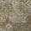 Brown color or pattern variation