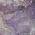 Purple color or pattern variation