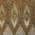 Brown color or pattern variation