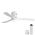 White with White Blade color or pattern variation