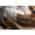 Brown & White color or pattern variation