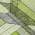 Green color or pattern variation