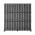 Black-2 color or pattern variation