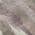 Blush color or pattern variation