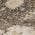 Brown color or pattern variation