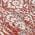 Red color or pattern variation