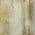 Taupe color or pattern variation