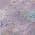 Purple color or pattern variation