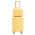 Yellow color or pattern variation