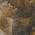 Brown color or pattern variation