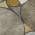 Taupe color or pattern variation