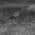Gray color or pattern variation