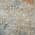Gilded color or pattern variation