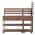 Brown color or pattern variation