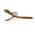 Brown color or pattern variation