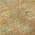 Coral color or pattern variation