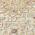 Cream color or pattern variation
