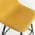 Yellow color or pattern variation